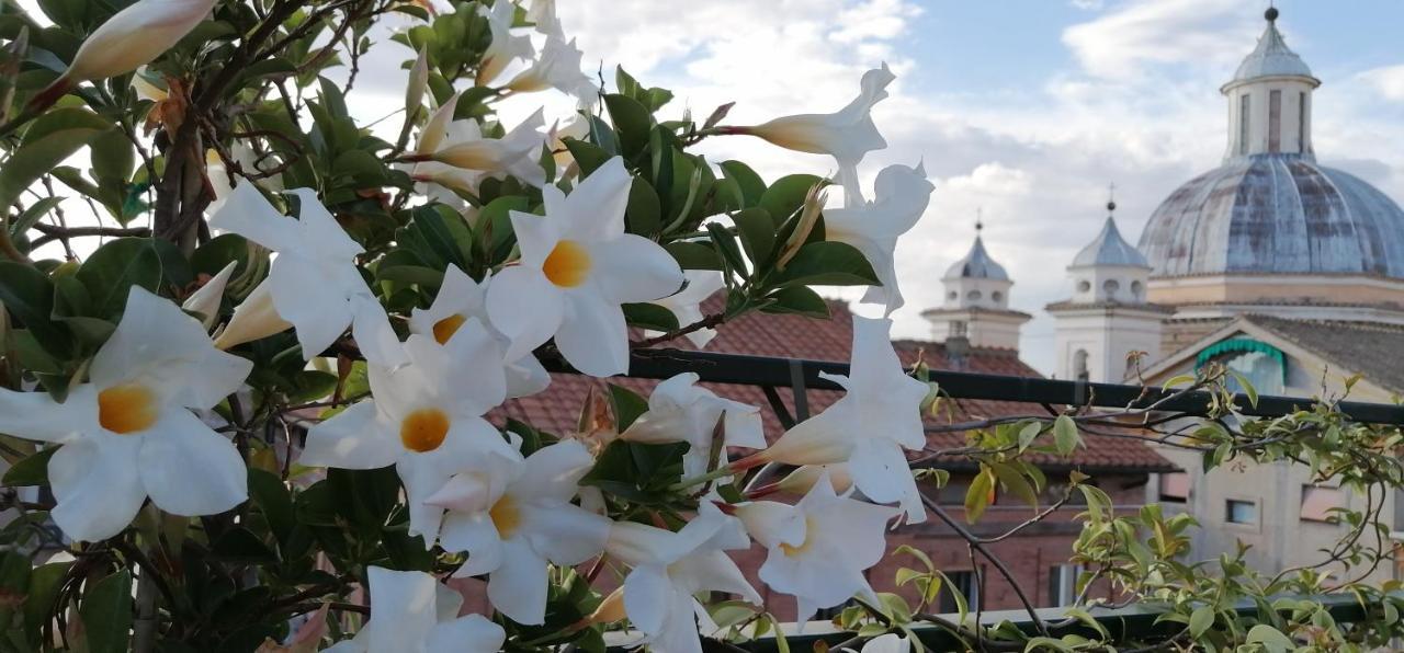 Una Favolosa Terrazza Nel Centro Di Roma Exteriör bild